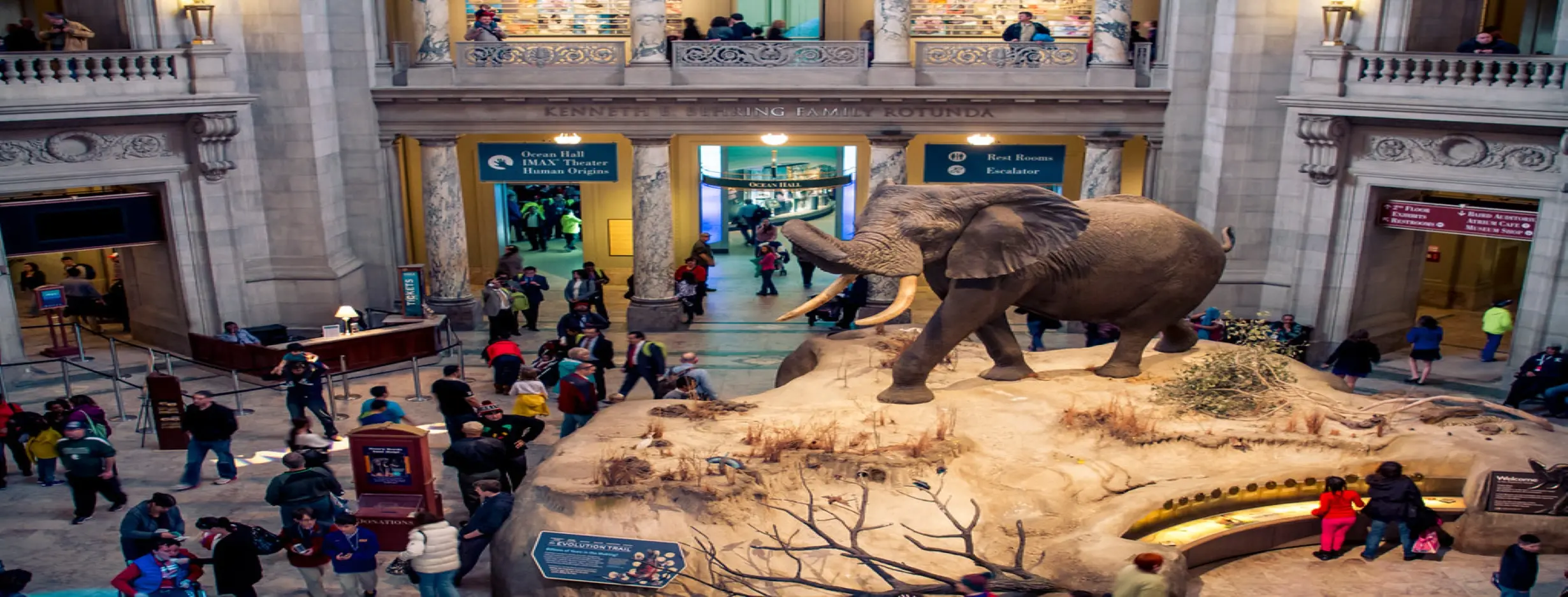 Image for National Museum
